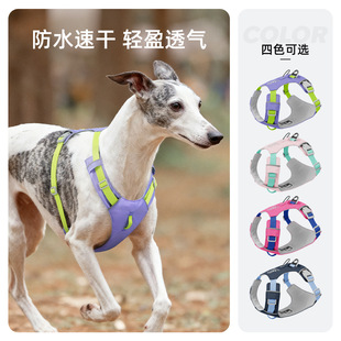 �p�������ر������ˮС���ر���ײɫ��������������ٸɷ���Ó