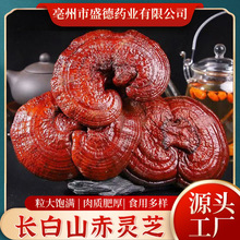 灵芝长白山赤灵芝纯龙芝紫灵芝片林芝灵芝茶野生肉质肥厚厂家现货