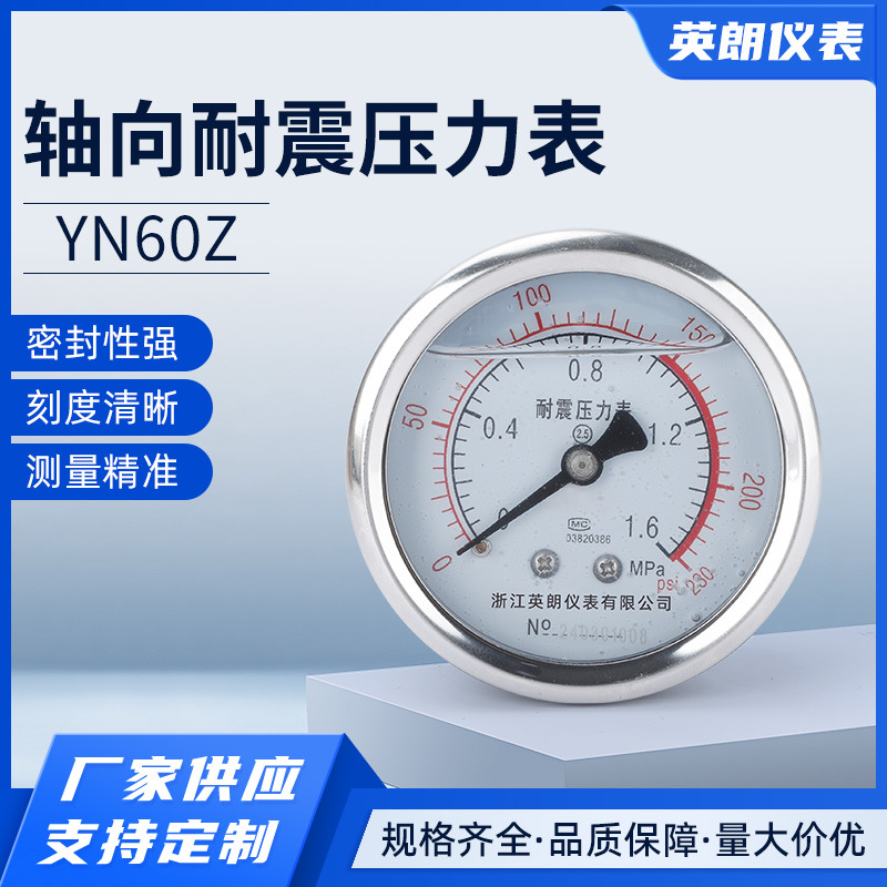 轴向耐震压力表YN60Z 1.6mpa水压油压液压气压带边2分油浸