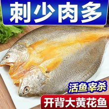 �����خa�|���S�~�����~���S�~������S�~�S���~���r��؛�S���~