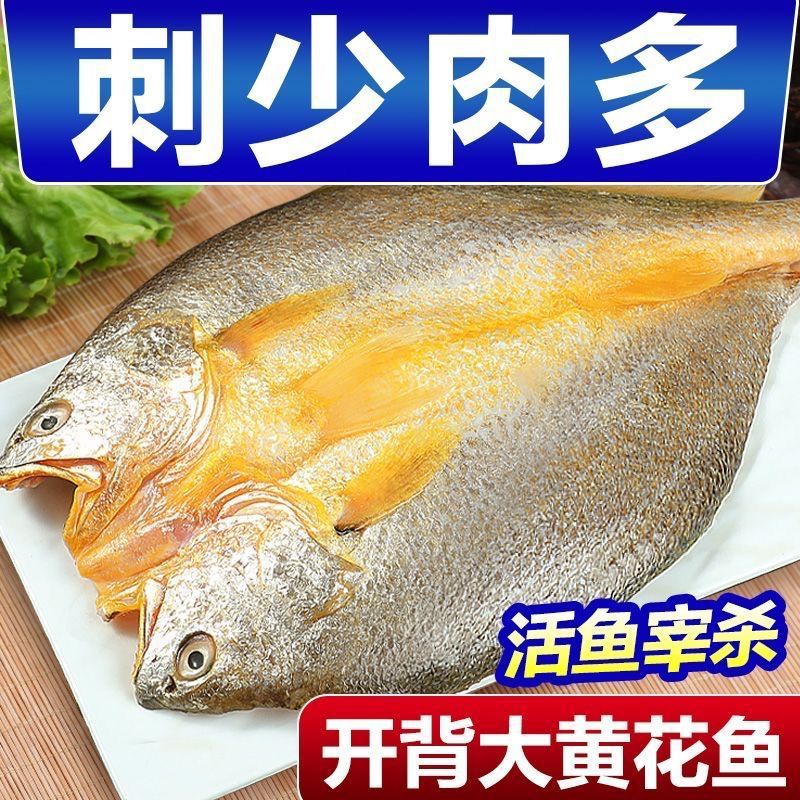 温州特产东海黄鱼干咸鱼干黄鱼咸香大黄鱼黄花鱼海鲜干货黄瓜鱼