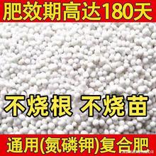 ͺϷ߲r÷N˻܈@ˇͨͶ_˹MڱG~ˮ