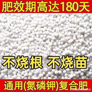 Compound Fertilizer for Vegetable Farming, General-Purpose for Growing Vegetables and Flowers, Imported from Russia, Protects Flowers and Fruits, Green Leaves, Water-Soluble