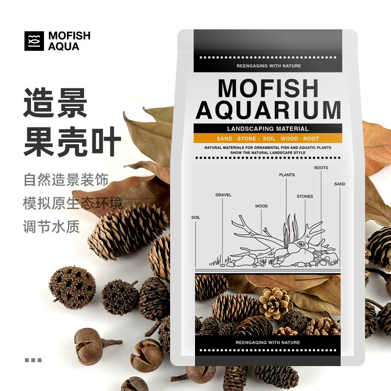 Каракатица Материал Южноамериканский Цилиндр Родной Цилиндр Пейзаж Украшения Фрукты Лонган Лист Элемене Черепаха Цилиндр Пейзаж Материал