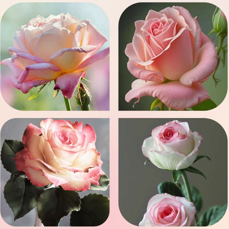 翻糖模具各种玫瑰郁金香花瓣叶子糖花硅胶双片夹模立体纹路模多款|undefined