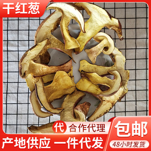 �Sţ�ξ���؛�t�[2�� ���_�[��Ҋ���� ��Ϯa�����l �Ƶ���ֱ��