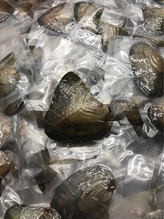 ���Сؐ9.9��5�� ���] һ��һ�� ��Ȼ��ˮ���� ��؛����