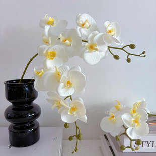 �����m���滨6�^ܛ�zƬpu���m�������ָиߙn�Ҿӻ�c�����b�