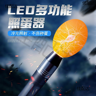 Egg illuminator LED flashlight type multifunctional hatching chick duck goose egg testing lamp strong cold light jade