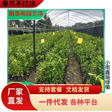 �������lɰ�ǽ��������o��ɰ������ɳ�ǽ��������箔��Y��