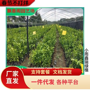 �������lɰ�ǽ��������o��ɰ������ɳ�ǽ��������箔��Y��