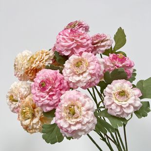 3�^�����ռٻ���Y�b���·�����Ų廨�Ƶ�Ҿ�ܛ�b���滨���l