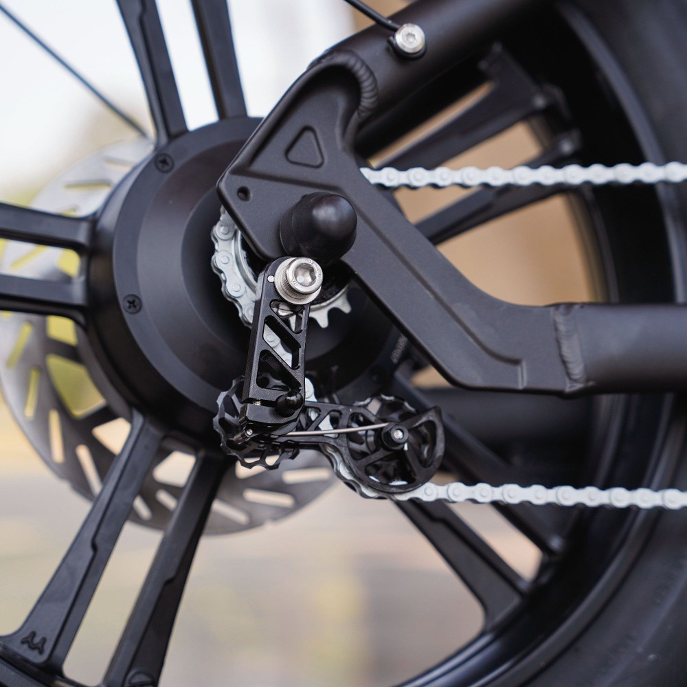 Bicicleta eléctrica de montaña transfronteriza FT - 03 EBIKE 750W / 1000W vehículo eléctrico