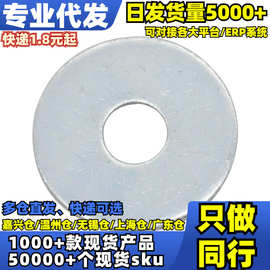 √特大平垫GB5287（彩锌100HV）图片错误