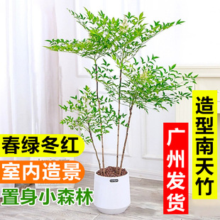 ����������͏d�Gֲ�҃ȴ����������ͥԺ�Ϙ������辰ֲ�������