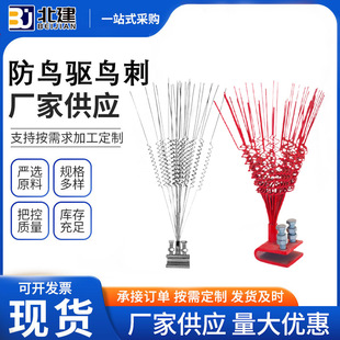 W�����·��B���B�s�B�̸߉��U�����P���\�����s�B�ᘽ^��