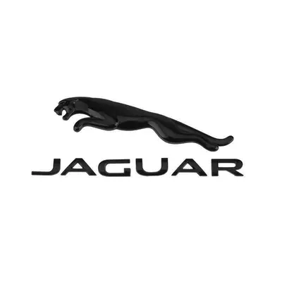 Car logo — car emblem, 35T/V6V8 engine displacement