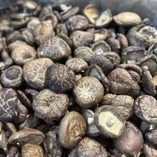 A级干香菇批发4-5cm散装香菇干货商用5斤10斤新货干香菇煲汤食材