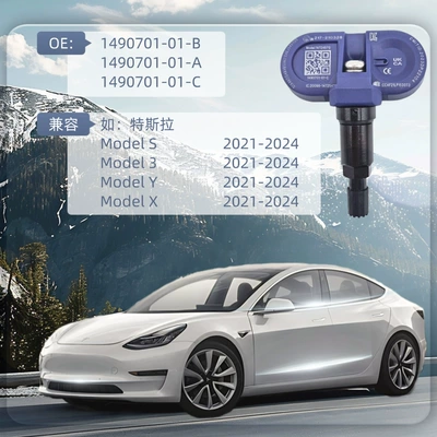 Tire pressure monitoring system — Monitoring System