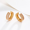 Jewelry, earrings, zirconium, suitable for import, European style