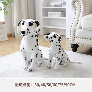 �F؛����ë�q��߹��а��c������Ȯ�׸����_��Ȯ����һ�����l