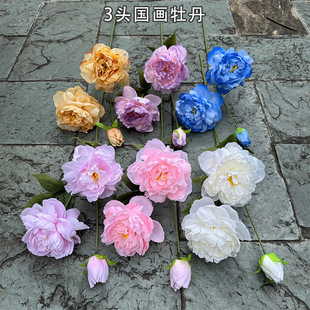 ��c����ĵ�����S��3�^����ĵ�� ��ɫ��ș��Y�����Ҿ��bٻ�