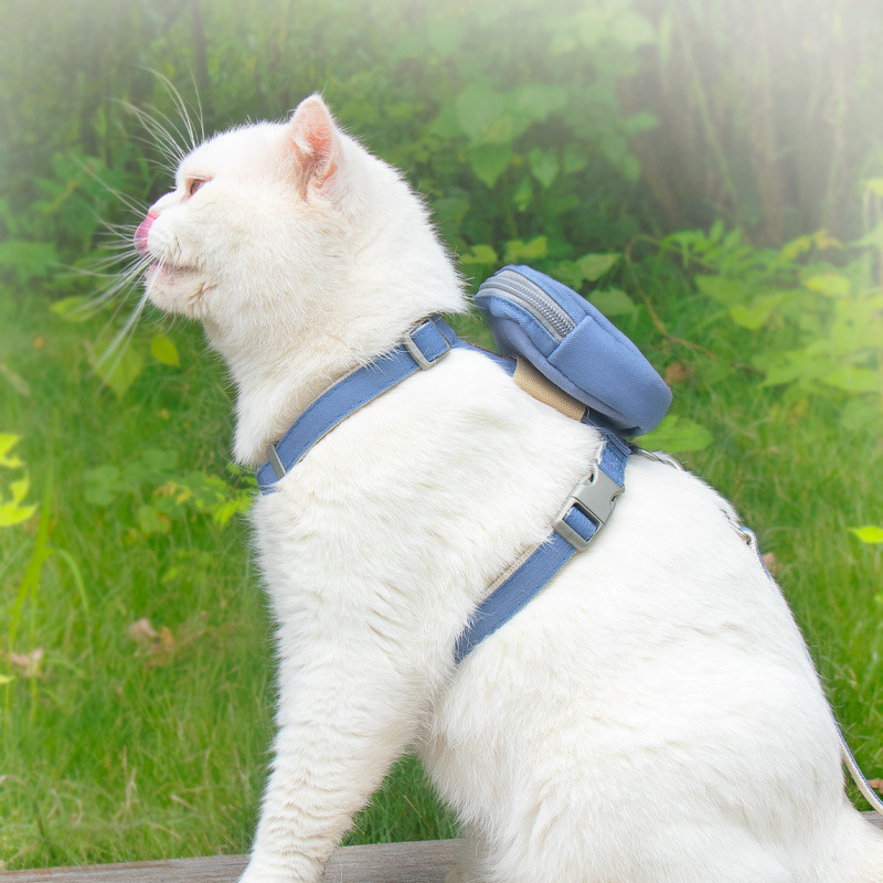 546b07ab-0744-40cb-b44c-a81e3ba5064f.jpe