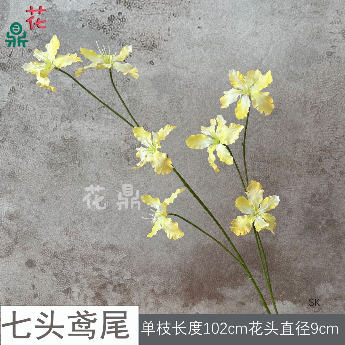 Mắt Cáo Bảy Đầu SK Vàng