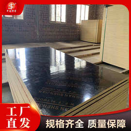 建筑模板黑木价格实惠 周转次数多 规格齐全工地工程覆膜板杨木