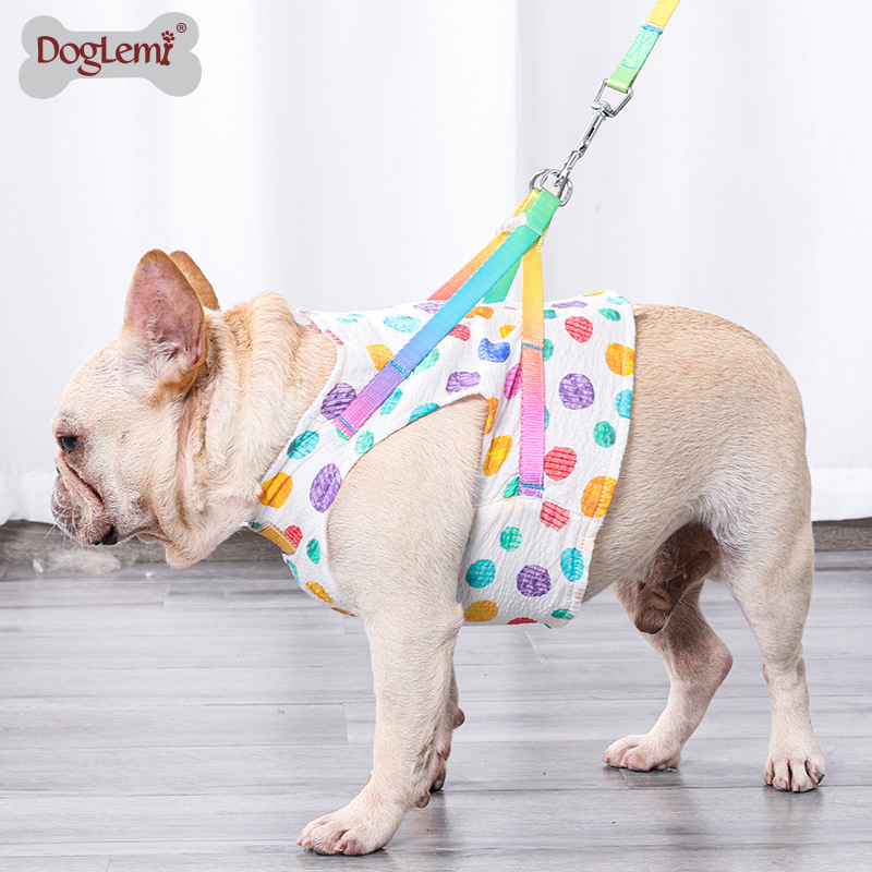 Custom Pet Chest and Back Traction Rope Medium and Small Dog Vest-style Dog Walking Chain Cat Dog Traction Rope Set