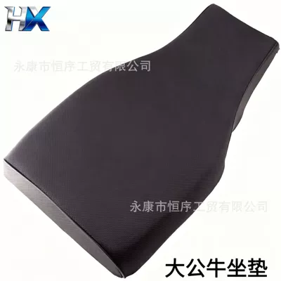 Atv Beach Bike Seat Cushion, Large Motorcycle cushion
