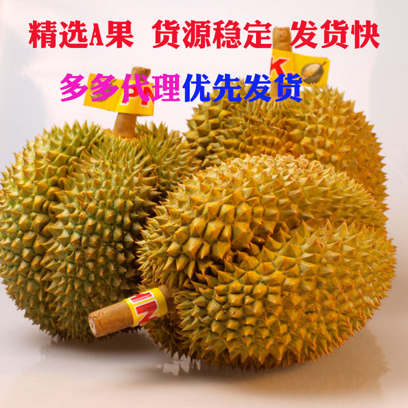 現貨金枕頭榴蓮新鮮帶殼青皮幹堯非甲侖貓山王托曼尼榴蓮壹件代發