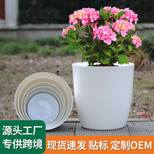 ���մɻ�ƿ��ɫ�������ϻ��������p�ݸ߼��мӺ�Gֲ������@�L