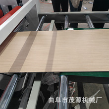 数控生产线 抗倍特板防火皮PUR复合机 PVC防火玻镁板贴面机