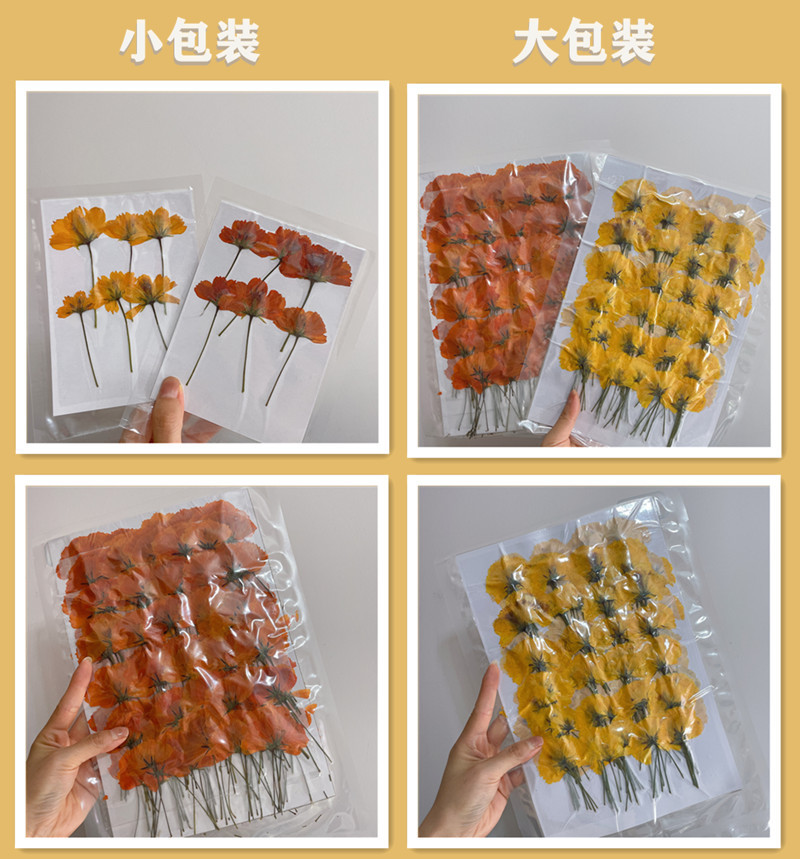 微信图片_20220919171326