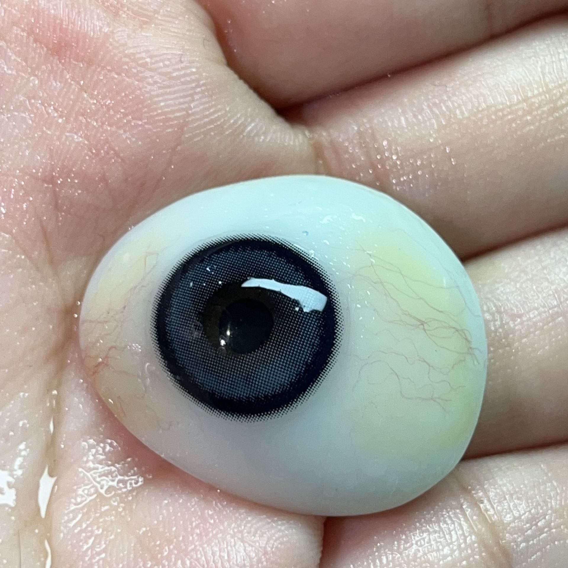 高端美瞳佩戴展示眼模逼真仿真眼模