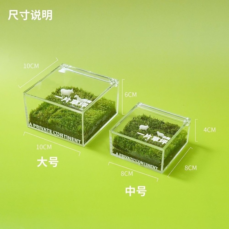 ミニ芝生マイクロランドスケープカスタマイズされた芝生苔ボックスオフィス学生手作り DIY 卒業シーズンギフト|undefined