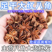 �˽Ǵ��ϸ�؛��؛�V����t�ɰ˽������������l������o��˽��{��