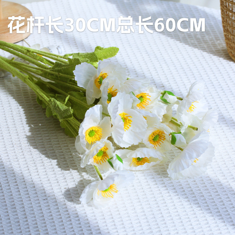 小红书推荐INS风蛋糕拍照道具 周边氛围背景墙装饰品摆拍摄影饰品|undefined