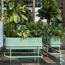 �����Fˇ�����̘I���̲����[���P����ͥԺֲ�ﾰ�^�@ˇ���໨��