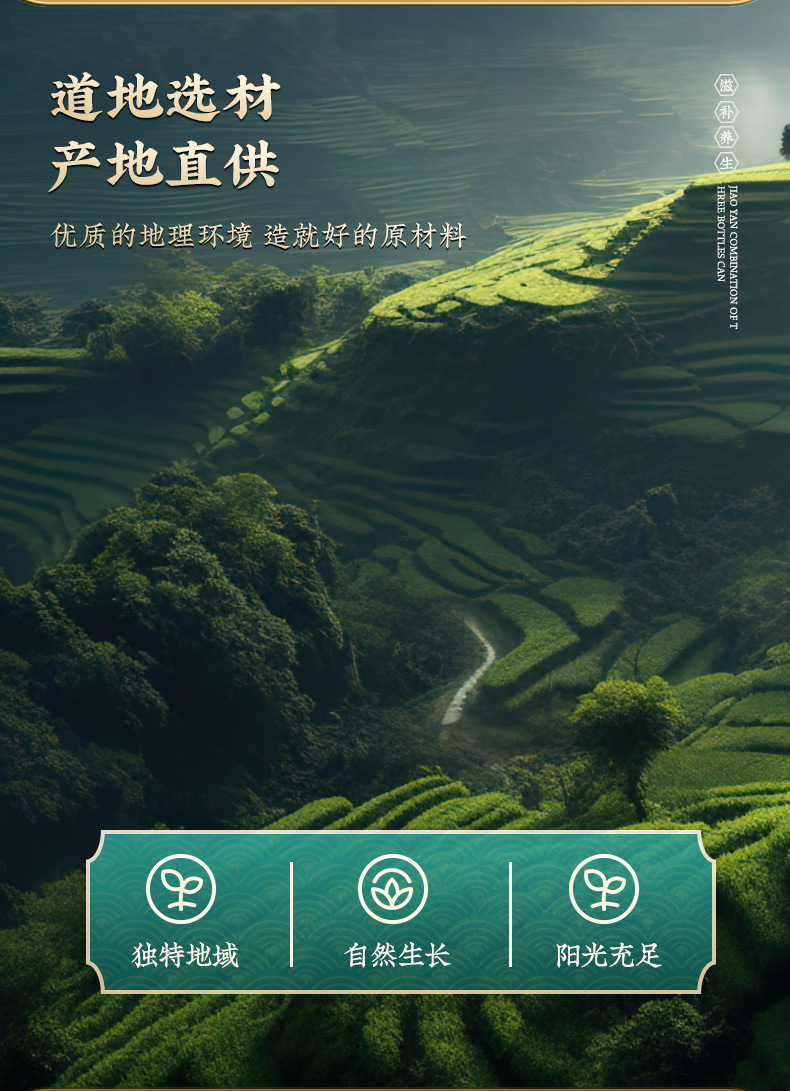 Di Gu Pi Gynostemma Herbal Tea Blend 500g Bag Dried Lycium Bark Jiaogulan Loose Tea for Daily Brewing key features