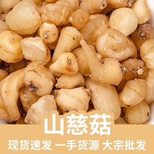 ɽ�ȹ��F؛ 500g ���xƷ�|��؛ɽ�Ĺ����ë�ȹ�ɢ�b�ɴ���ĥ��