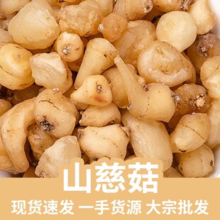 ɽ�ȹ��F؛ 500g ���xƷ�|��؛ɽ�Ĺ����ë�ȹ�ɢ�b�ɴ���ĥ��