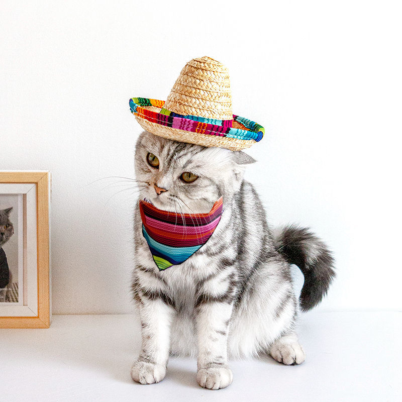 Joyería para mascotas popular mascota gato perro Sombrero estilo mexicano mascota gato perro saliva toalla
