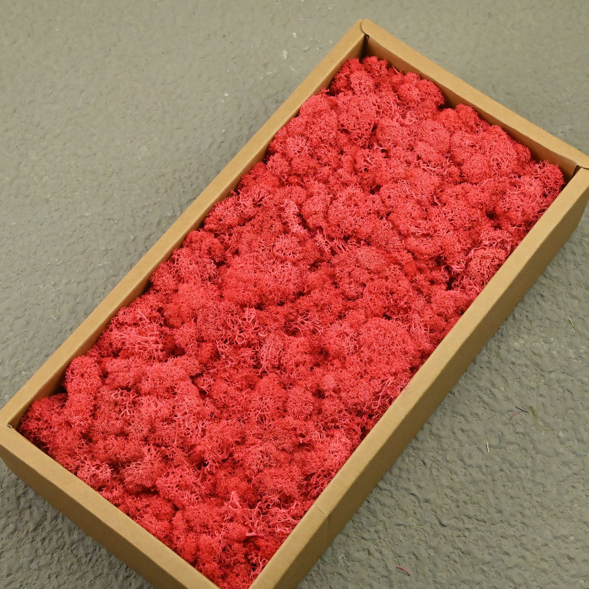 Watermelon red