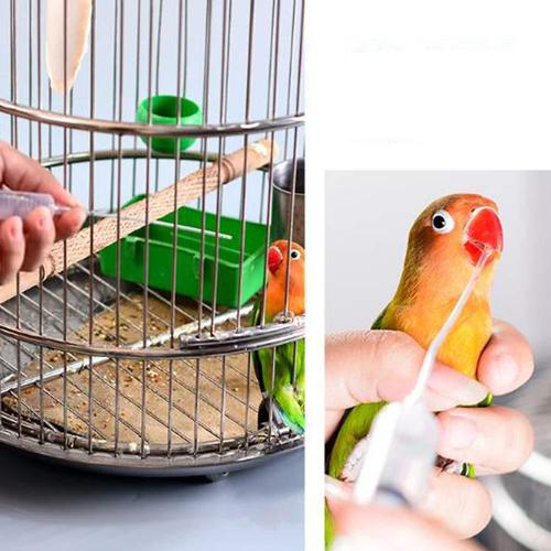 Hand-raised parrot feeder, parrot bird supplies, bird supplies, parrot feeder, factory direct sales