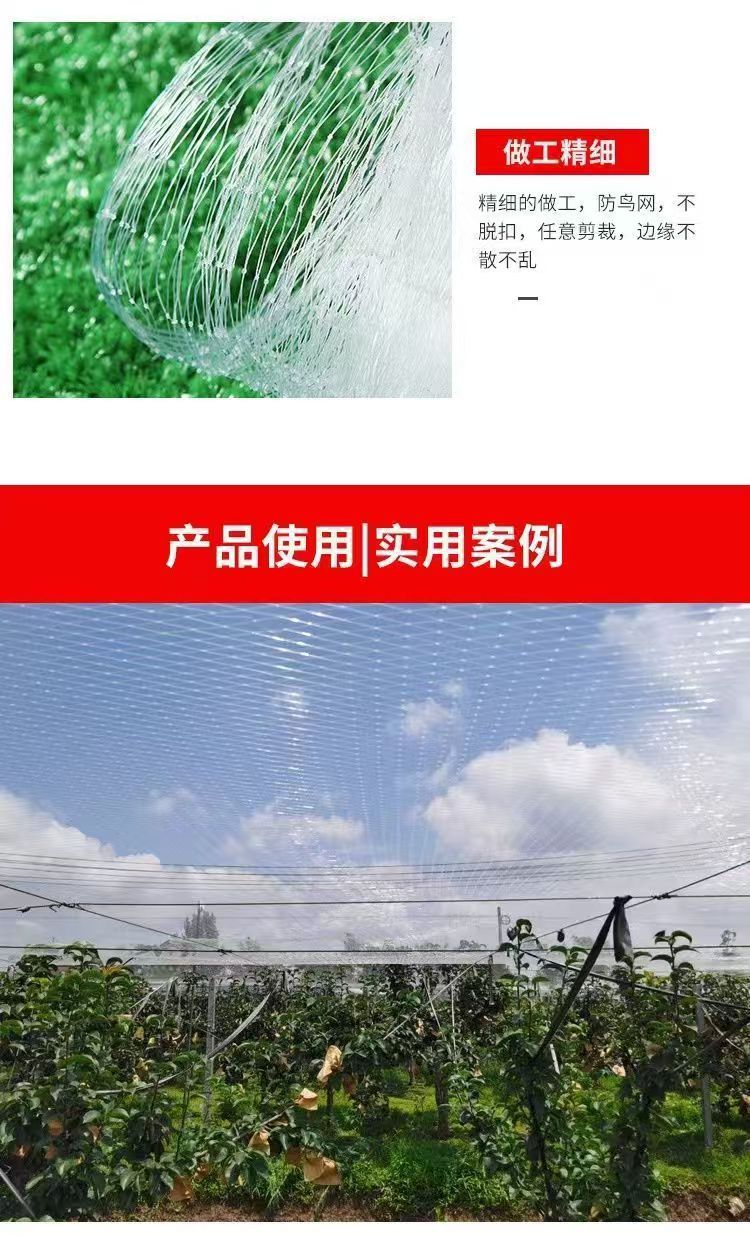 微信图片_202504221703591