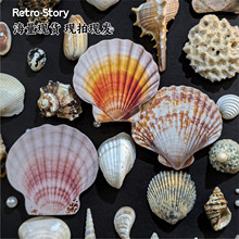 Retro Story�N����ϫؐϵ��ؐ�����}���~�b��ز��N16����6���x