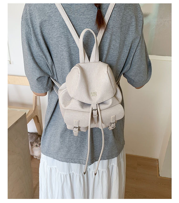 "College Style 2025 New Korean-style stylish mini Backpack, double pockets, lid style backpack, casual travel bag. undefined