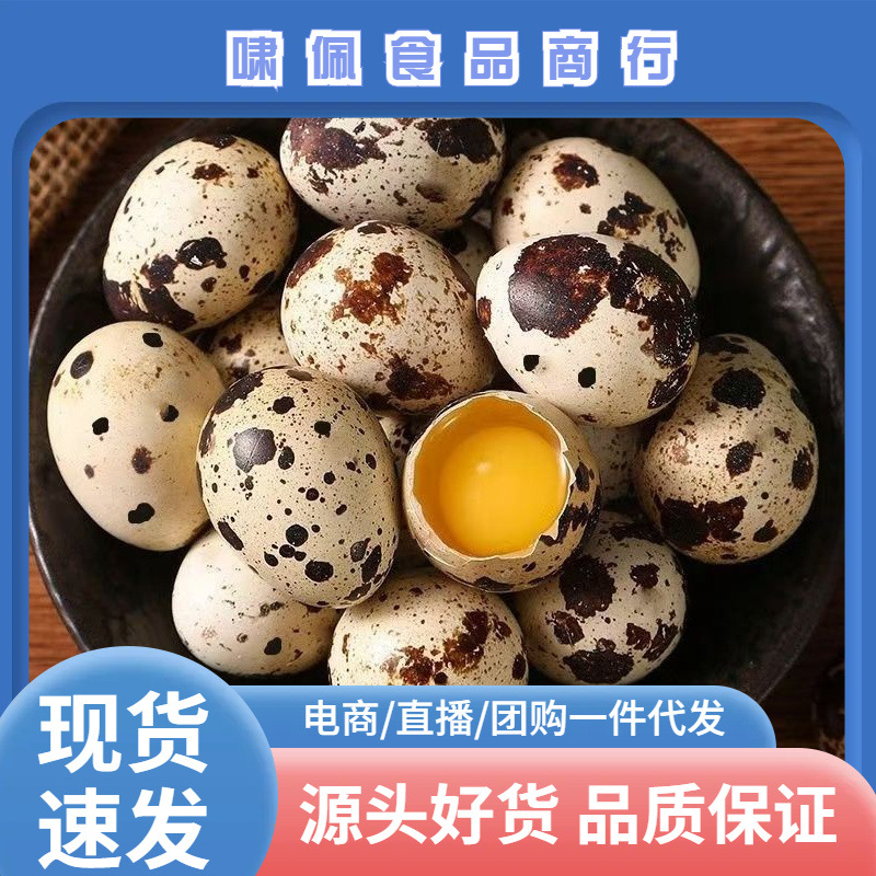 160枚农家杂粮喂养新鲜生鹌鹑蛋新鲜120/50枚/100枚包邮代发全